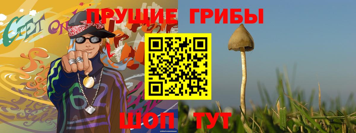 Галлюциногенные грибы мухоморы Воскресенск